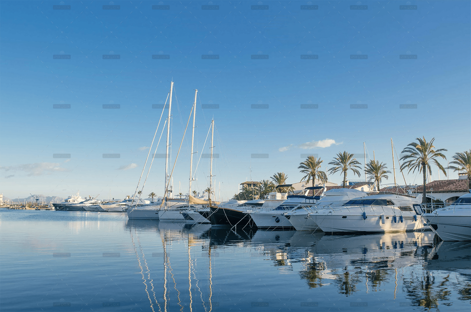 demo-attachment-648-Image-2